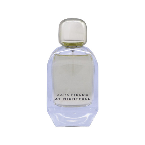 Fields At Nightfall Woman Zara