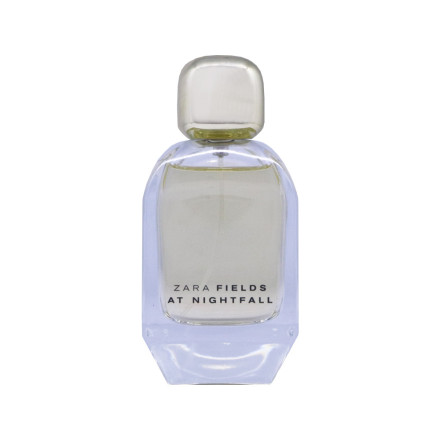 Fields At Nightfall Woman