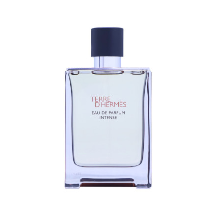 Hermes Terre d Hermes Man Eau De Parfum Intense 100 ML