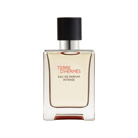 Hermes Terre d Hermes Man Eau De Parfum Intense 50 ML