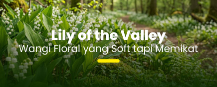 Sentuhan Lembut Lily of the Valley: Aroma Bersahaja yang Diam-Diam Memikat Hati